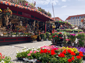 Dresdner Frühjahrsmarkt 2026