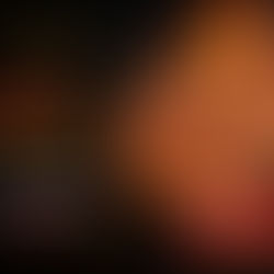 Die beste Bratwurst Europas