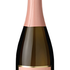 Warum die Crémants vom Weingut Zotz für uns zu den spannendsten Entdeckungen des Jahres gehören