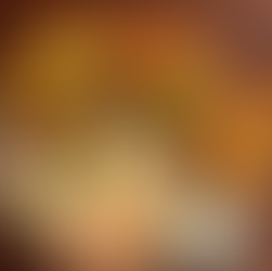 Belarussische Küche in Dresden: Draniki im Aljonuschka Restaurant