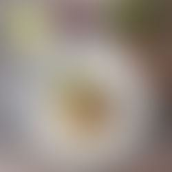 Kochen mit BELLAN Restaurant und Catering - Heute empfehlen wir Fenchel!