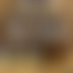 CAMONDAS empfiehlt edles Schokoladendessert!