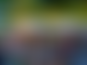 ElbeGarten Dresden: Biergarten mit Blick aufs Blaue Wunder – Klassiker oder Touri-Spot?