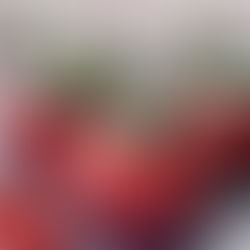 Lust auf Dresden Autorin Sandra backt Erdbeer-Cupcakes!