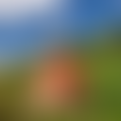 Schloss & Park Pillnitz - „Die vier Kirchen von Pillnitz und Hosterwitz“