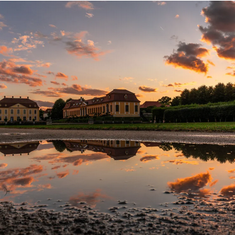 Fotowalk zum Sonnenaufgang 2026: Warum frühe Morgenstunden rund um Dresden gerade jetzt besonders lohnen