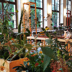 Restaurant Pillnitzer Elbblick empfiehlt: Floristische Meisterwerke in der Orangerie