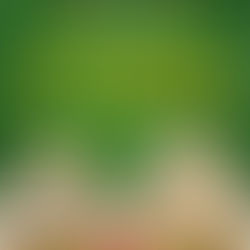 Literaturfest Meißen 10. - 12. September 2021!