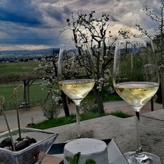 Vinothek Weingut Klaus Zimmerling auch am Feiertag geöffnet!