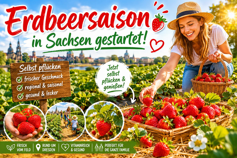Erdbeersaison in Sachsen genießen!