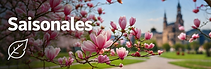 Saisonales Dresden & Region