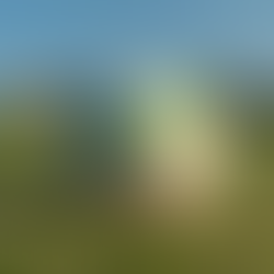 Dresden und der geheime Code des Sports