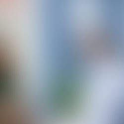 Lust auf Dresden - Newsletter