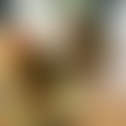 Der Dicke Schmidt empfiehlt - Gebratener grüner Spargel!