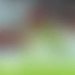 Wildbretzeit mit Topfgucker-TV Rezepten - Heute: Rücken vom Thüringer Rehbock