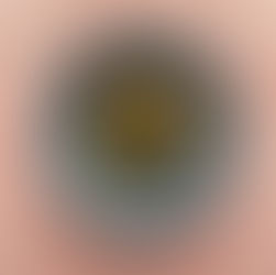 Restaurant Anna im Schloss setzt beim Kochwettbewerb auf saisonale Produkte