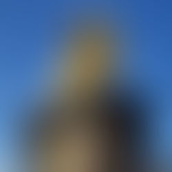 Familienfest Goldener Reiter