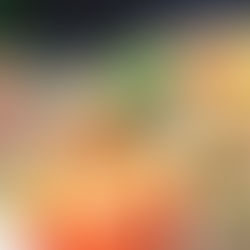 Adventsmenü am 11. Dezember in der WeinErlebnisWelt Meißen!