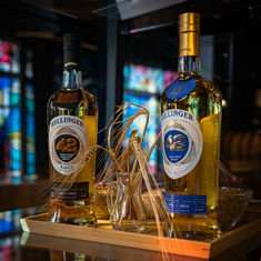 Whisky-Wissen aus Dresden: Was unterscheidet Single Malt, Grain und Blend?