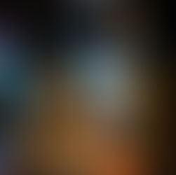 Whisky-Wissen aus Dresden: Was unterscheidet Single Malt, Grain und Blend?