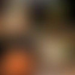 Cocktail-Taxi - Die vier Rum-Klassiker!