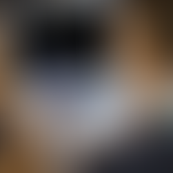 Blog-Autor werden ...