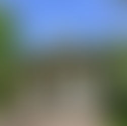 Pillnitzer Elbblick informiert - Chinesischer Pavillon in Pillnitz öffnet am 31.05.2023!