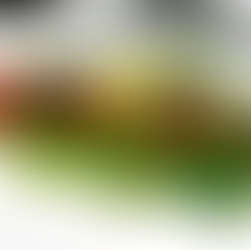 Schmidts lecker Essen- Teriyaki macht nicht nur Hühnchen lecker!