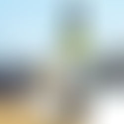 Schloss Wackerbarth - Der perfekte Wein zum Canaletto-Fest!