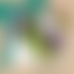 Alua Catering empfiehlt ...!