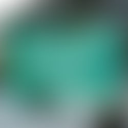 Lingnerterrassen; Biergarten bleibt heute geschlossen!