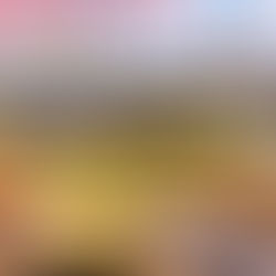 Frühlingsgenuss in Dresden