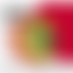 Sushi Circle Dresden - Unsere Montag-Empfehlung!