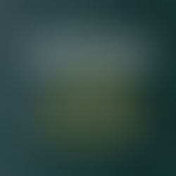 Pho Mum - Genieße unsere aromatischen Gerichte!