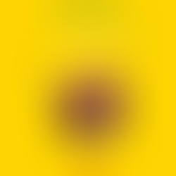 Buchtipp: Das Sachsen Kochbuch