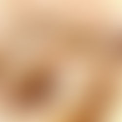 Landgasthof Quartier 5 - Gyoza Time!