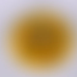 Bülow Palais Dresden- Unsere Klassikerkarte hat zwei neue Suppen!