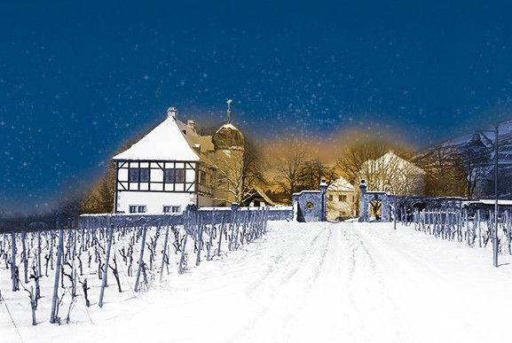 11.02.2023 - Winter - Weinprobe in der Weinkultur Hoflößnitz!