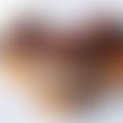 Lust auf Dresden Autorin Sandra bäckt Donauwellen-Cupcakes!