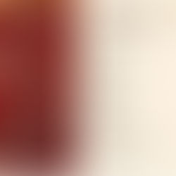 Stammhaus Mittagstisch-10er