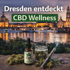 Dresdens neue Wellness-Kultur: Zwischen Barock und moderner Entspannung