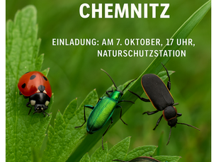 Vortrag über die Käferfauna von Chemnitz in der Naturschutzstation