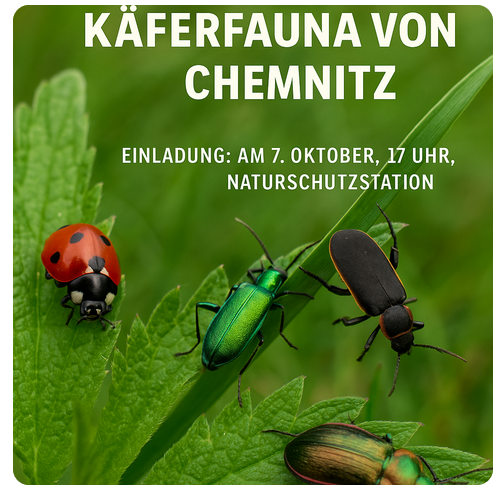 Käferfauna von Chemnitz in der Naturschutzstation