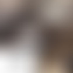 "TV-Sendereihe "mein Lokal-Dein Lokal"sendet ab Dienstag regionale Gastgeber!