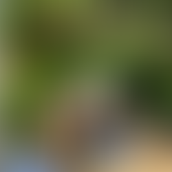 Sommerlaune im Weingut Klaus Zimmerling mit feinen Köstlichkeiten für den Picknickkorb!