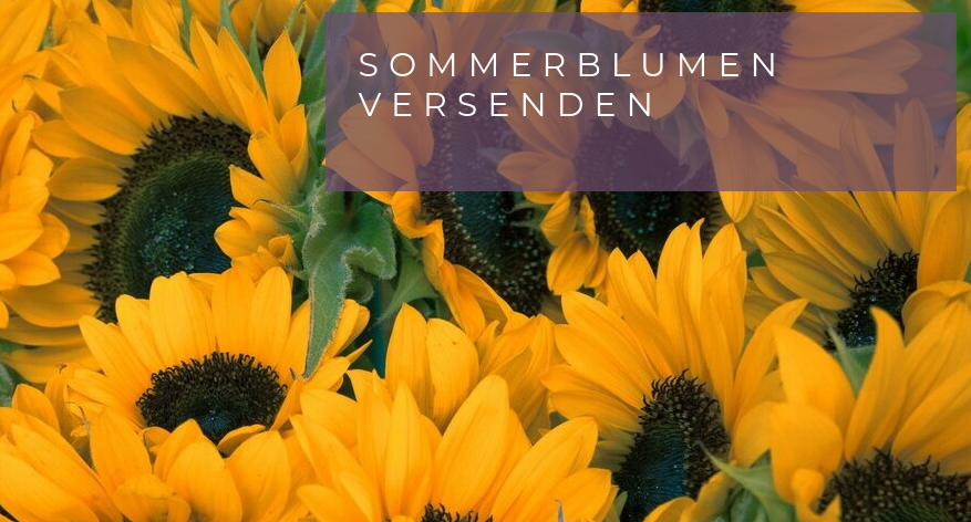 Sommerblumenstrauß passt gut zu dieser leichten Dresdner Sommerstimmung