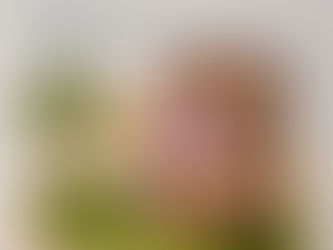 WortSchatz Chemnitz: Kreative Köpfe auf dem Dachgarten gesucht!