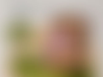 WortSchatz Chemnitz: Kreative Köpfe auf dem Dachgarten gesucht!