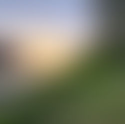 13.05.2023 - Auf Spurensuche im Pillnitzer Park