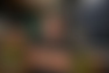 Inhaber: Pavel Leden (37)